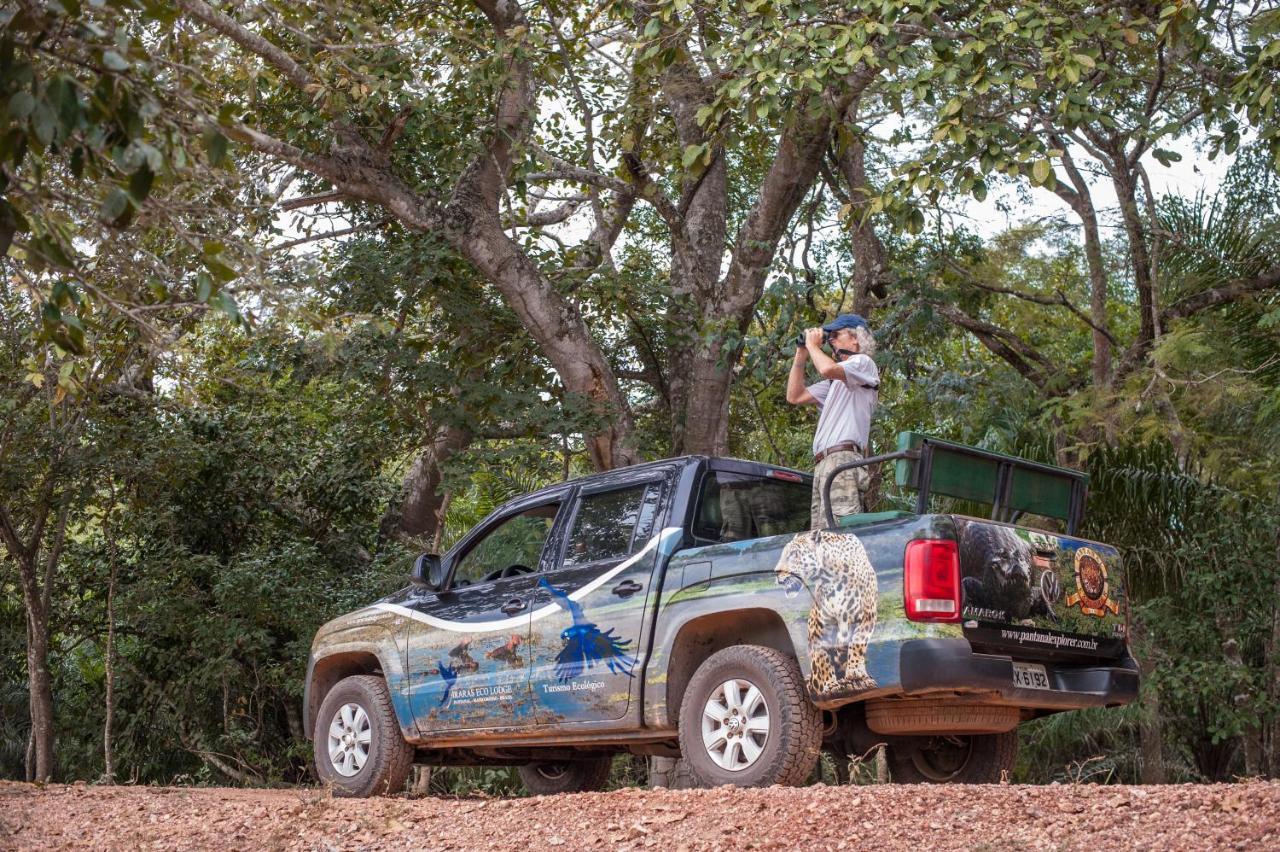 Pousada Araras Pantanal Eco Lodge Carvoalzinho المظهر الخارجي الصورة