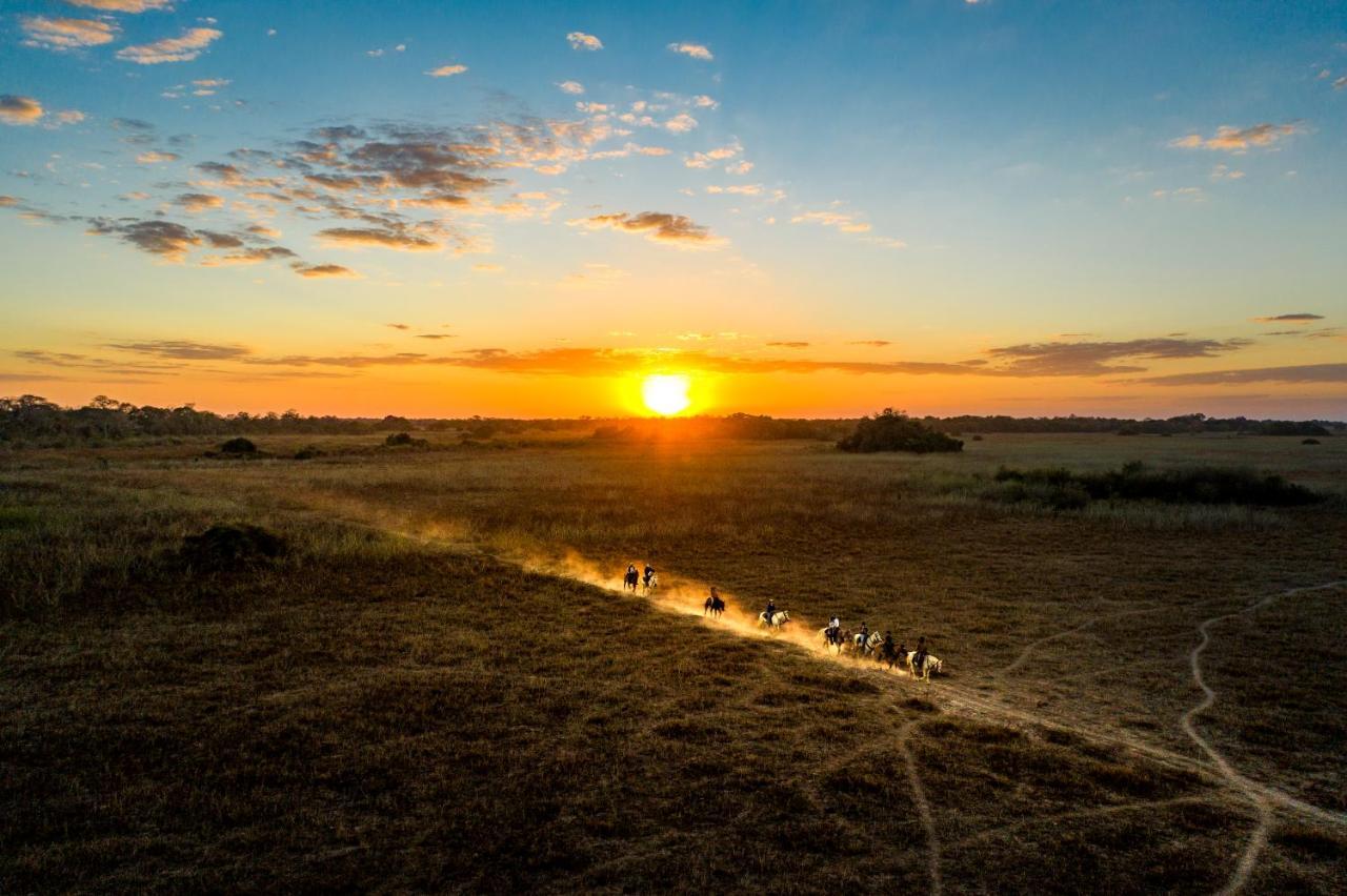 Pousada Araras Pantanal Eco Lodge Carvoalzinho المظهر الخارجي الصورة
