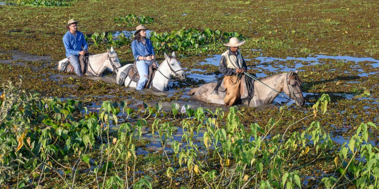 Pousada Araras Pantanal Eco Lodge Carvoalzinho المظهر الخارجي الصورة