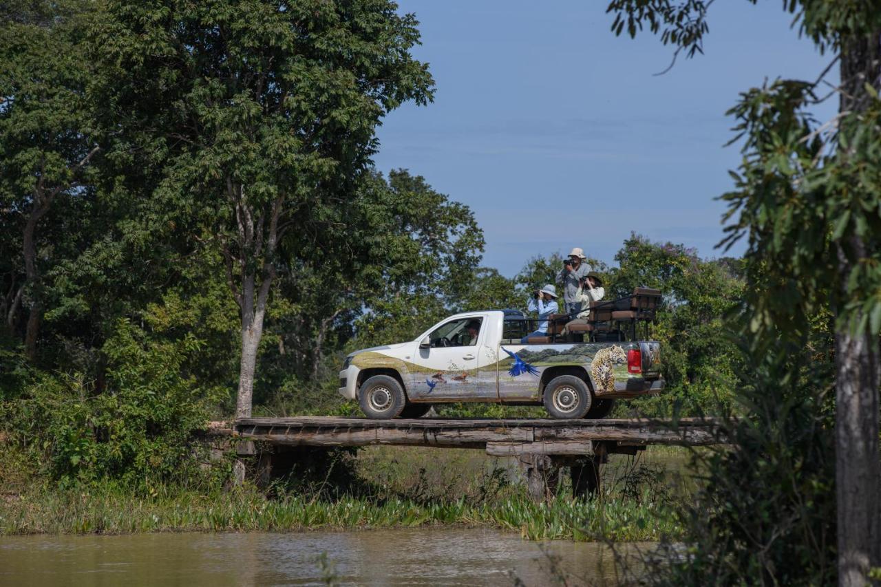 Pousada Araras Pantanal Eco Lodge Carvoalzinho المظهر الخارجي الصورة