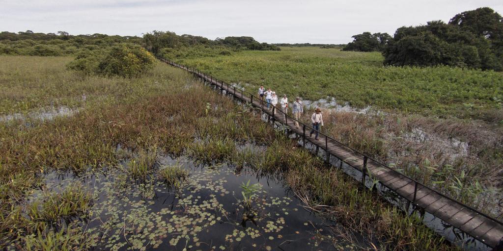 Pousada Araras Pantanal Eco Lodge Carvoalzinho المظهر الخارجي الصورة