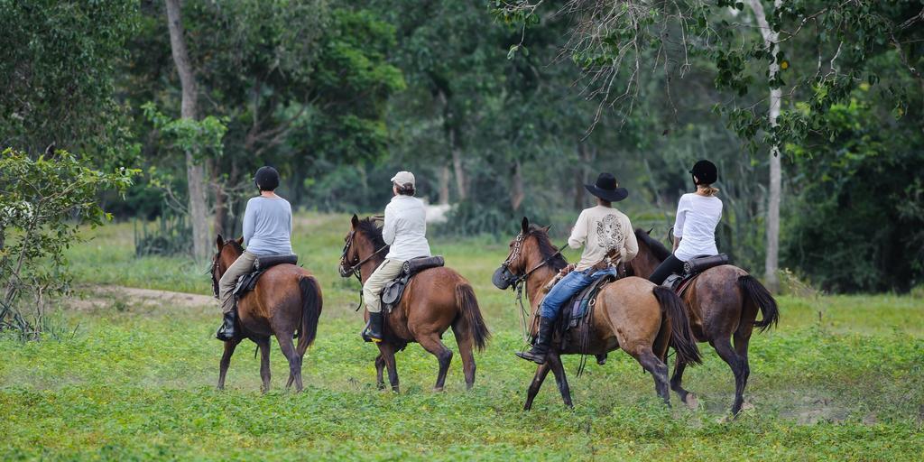 Pousada Araras Pantanal Eco Lodge Carvoalzinho المظهر الخارجي الصورة