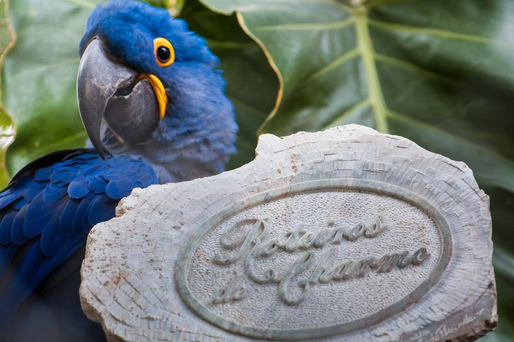 Pousada Araras Pantanal Eco Lodge Carvoalzinho المظهر الخارجي الصورة