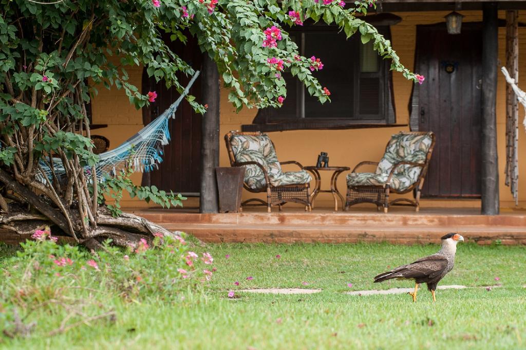 Pousada Araras Pantanal Eco Lodge Carvoalzinho المظهر الخارجي الصورة
