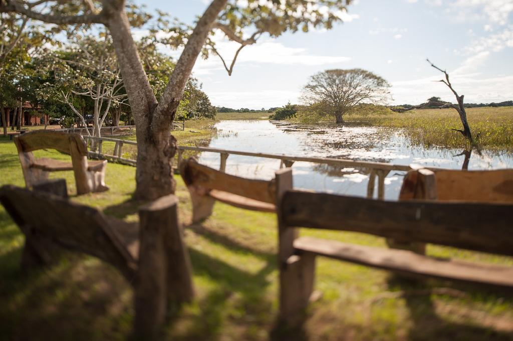 Pousada Araras Pantanal Eco Lodge Carvoalzinho المظهر الخارجي الصورة