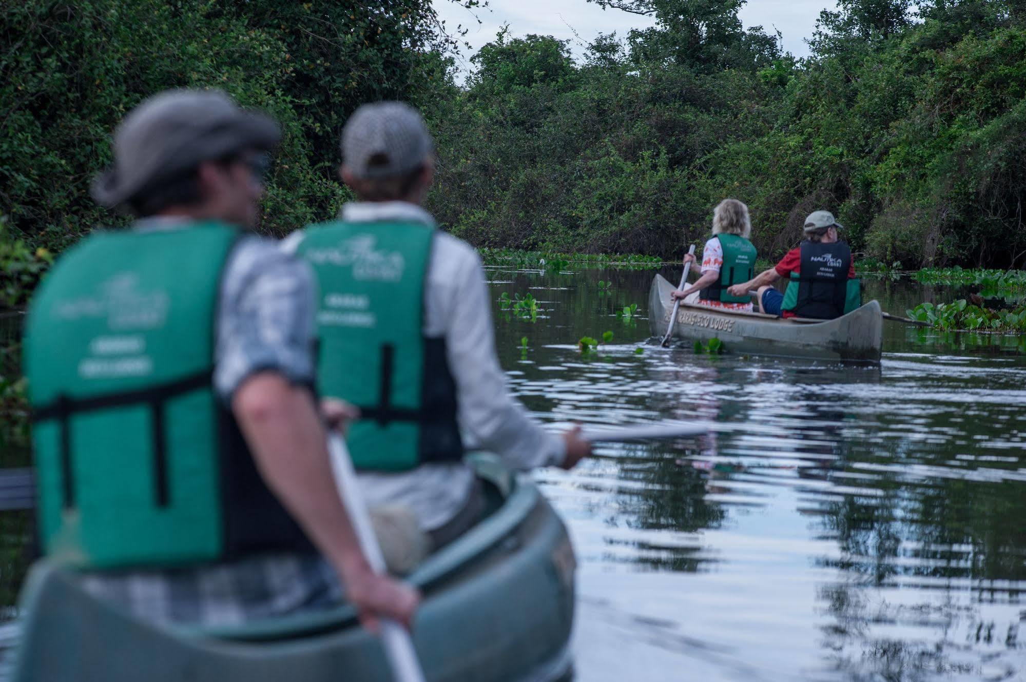 Pousada Araras Pantanal Eco Lodge Carvoalzinho المظهر الخارجي الصورة