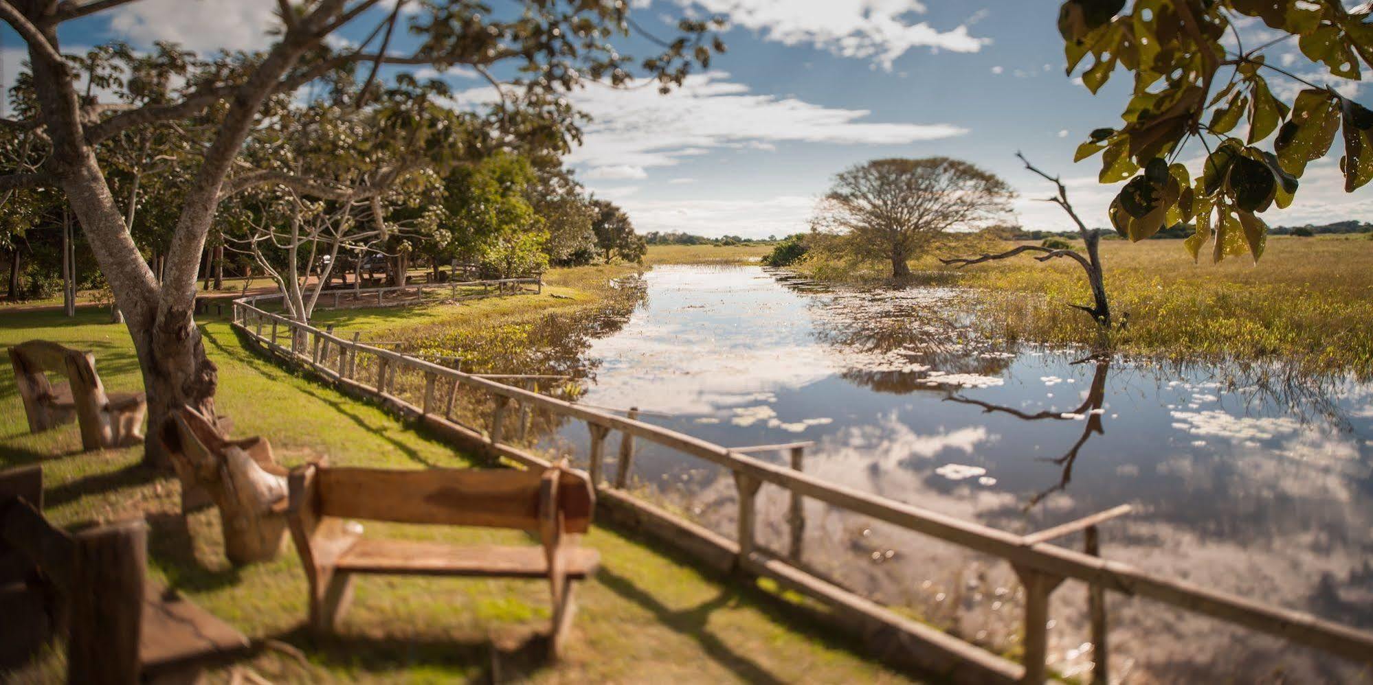 Pousada Araras Pantanal Eco Lodge Carvoalzinho المظهر الخارجي الصورة